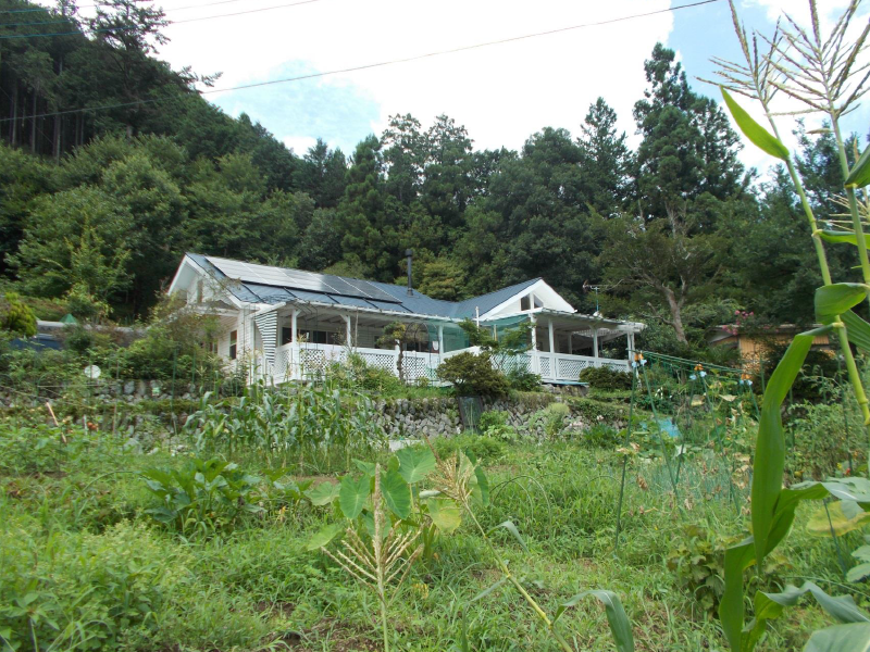 春田の元気の家11